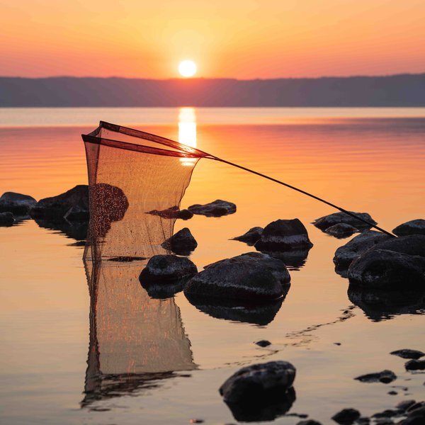 Podbierak Nash Air Force F40 46" (117cm) (Incl. Sztyca)