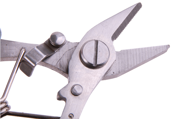 Ultimate Predator Mega Pack