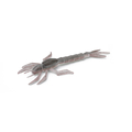 Nays DRGN Creaturebait 3.5'' 8.9cm (2.6g) (6 Stuks) - C-28