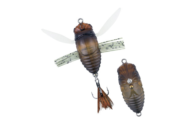 DUO Realis Shinmushi - CCC3203 - Semigara