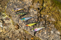 Ultimate Impact Jerk 15.5cm (76g) Jerkbait