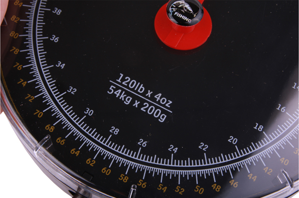 Ultimate Scale Carp Weighing Kit