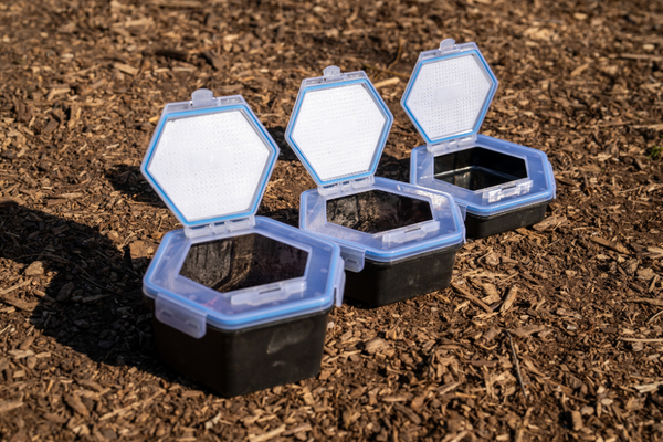 Zebco Secure-Lock Caja de Cebo