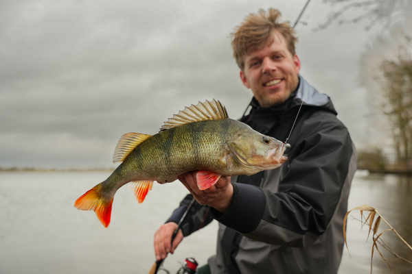 Ultimate Carolina/Texas Box (77 Stuks + 20 Meter Fluocarbon)