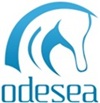 Odesea