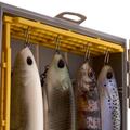 Plano Edge Swimbait Box 3700 Tacklebox