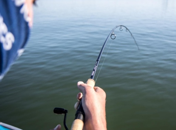 Patriot Ace Deadbait 12ft/3.64m (2.75lb)