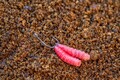 Guru Match Special Rig 1,00m