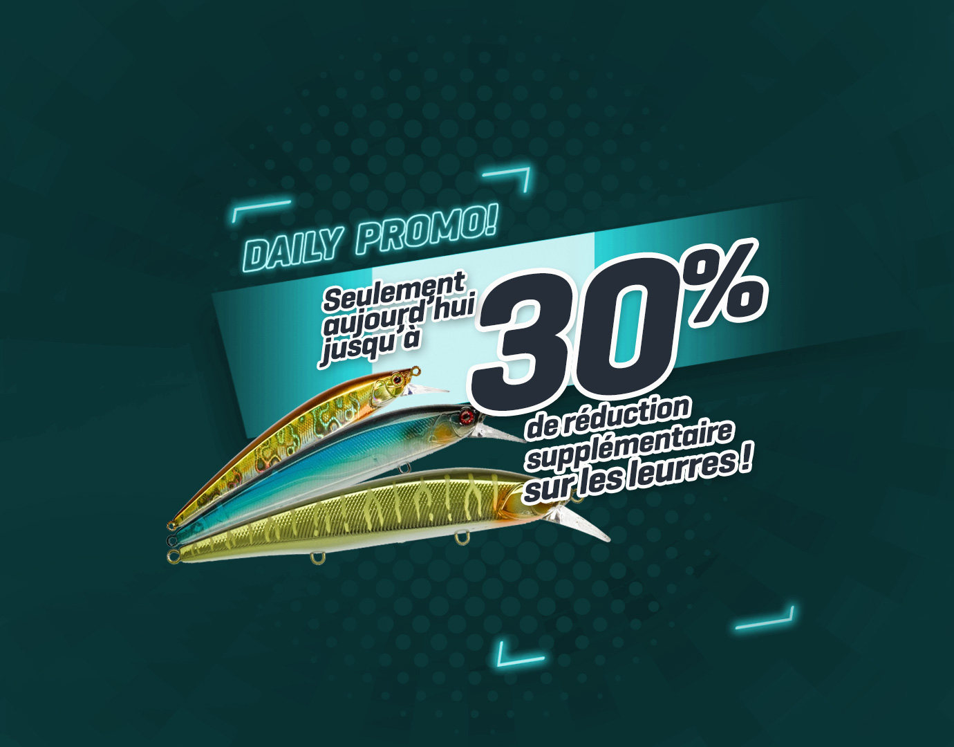 Soldes: Subbanner: Tot 30% Kunstaas