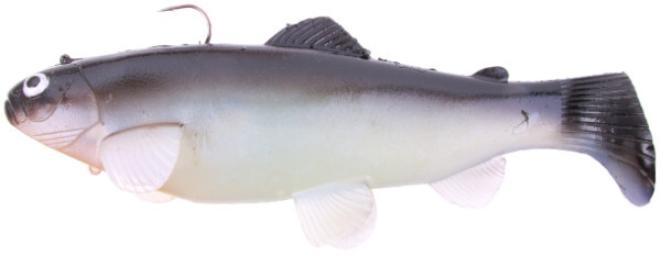 Castaic Swimbait Trout - Bluegill