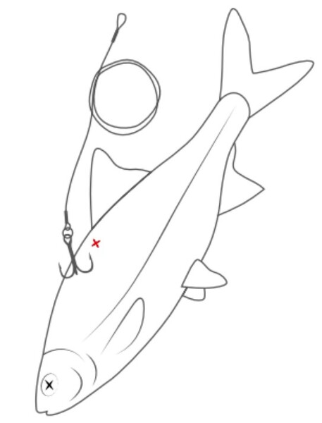 Westin Doodaas Float Rig (50cm)