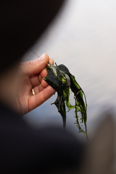 Korda Grapple Lead Peillood