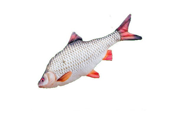 Gaby The Roach Mini Pillow - 52cm