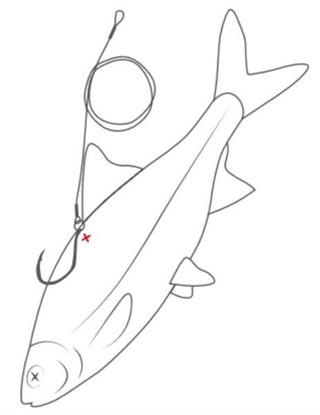 Westin Doodaas Float Rig Single Hook #4 (50cm)