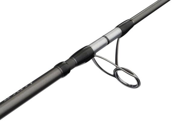 Penn Ally II Offshore Casting Spin Zeevishengel