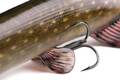 Fox Rage Ultra-Realistic Pike Replicant Swimbait 15cm (30g)
