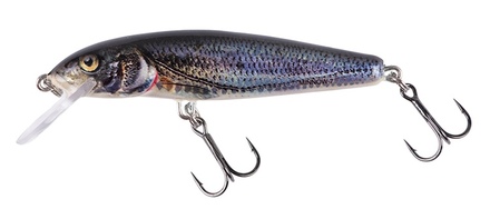 Salmo Minnow Floating Hard Lure 5cm (3.3g) Spirlin