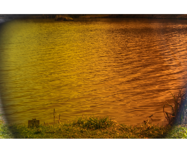 Preston Absolute Wrap Gepolariseerde Zonnebril 