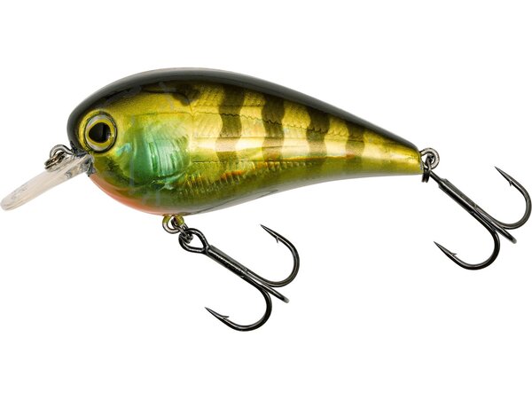 Westin Caja de Regalo con los Favoritos de Luc Coppens (4 pzas.)