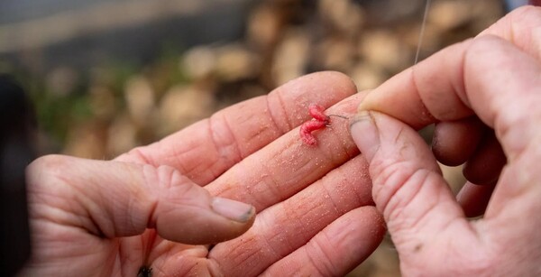 Guru Float Rod & Reel Combo Set 11' (1-15g) (Incl. Line & Accessories)