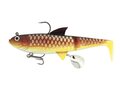 Molix Pike Shad 7,5"/19cm (2pcs) - Carp (picture of rigged version)