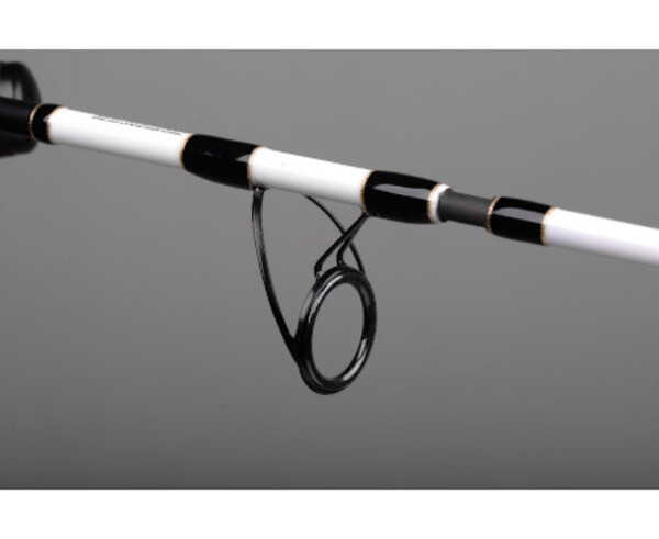 Spro Salty Beast Nano Jig Baitcaster