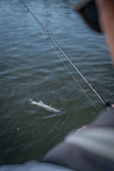 Fox Rage Warrior Zander Jig Caña Spinning 2,4 m (10-30 g)