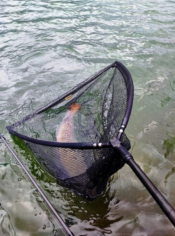 FENCL Épuisette CARP PREMIUM 105 Cm - Filet Caoutchouté Avec Poignée Carbone, Accessoire Pêche