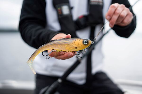 Abu Garcia Beast Slim Paddletail 21 cm 94 g (4 pzas.)