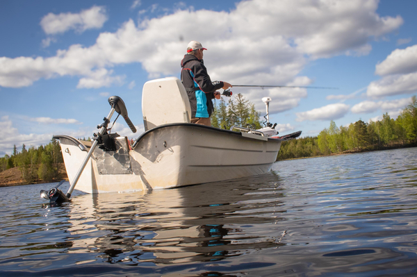 Silnik Elektryczny Rhino Motors VX V2