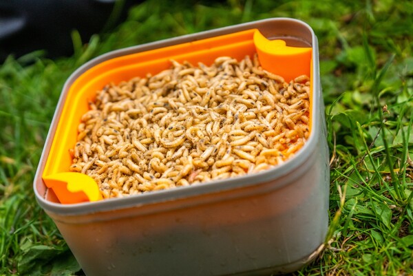 Guru Maggot Riddle Orange Baitstrainer