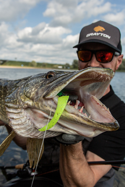 Grayton Buck-Bug Bucktail Jig S 19cm (40g)