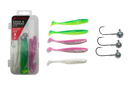 Ultimate EZ-Shad & Jighead Kit Bright Loodvrij 10cm (7 + 10g) (8pcs)