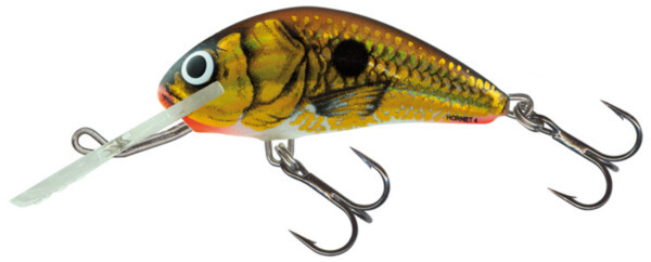 Salmo Hornet 3,5cm (14 Optionen) - UV Gold Shiner