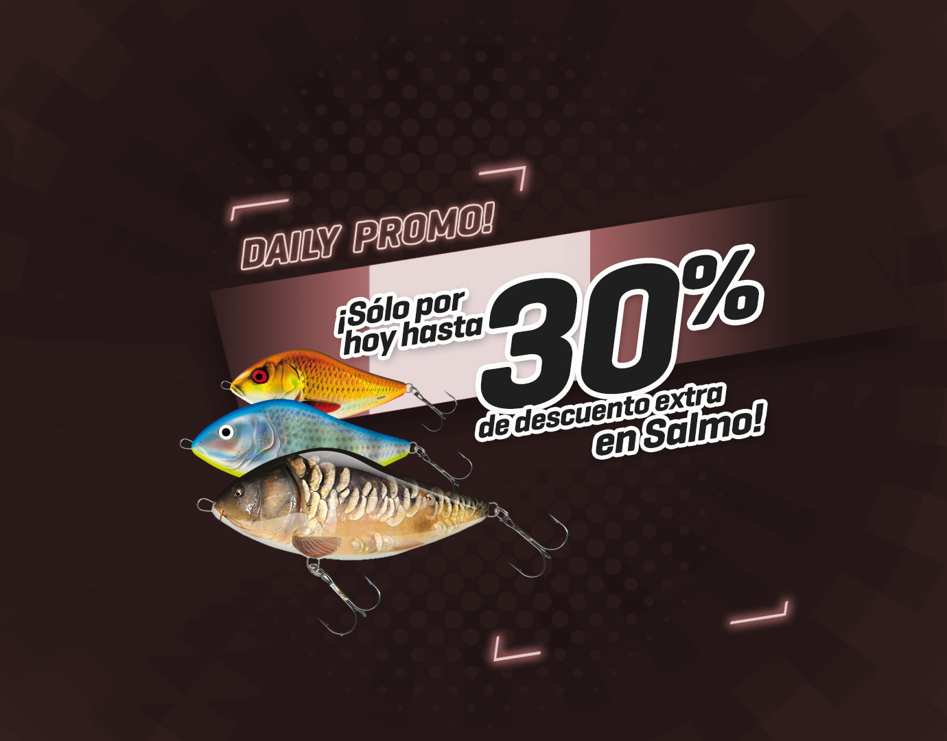Subbanner: Tot 30% Salmo