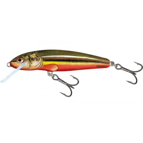 Salmo Minnow Floating