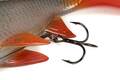 Fox Rage Ultra Natural Replicant Swimbait 28cm - Roach