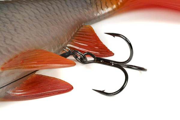 Fox Rage Ultra Natural Replicant Swimbait 28cm - Roach