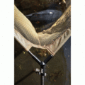STOCK Fox Horizon 3X Landing Net 42"