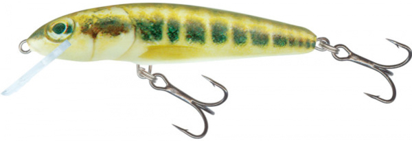 Salmo Minnow Floating