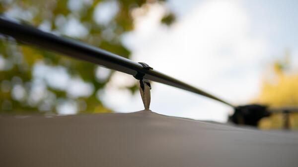 Sonik Biveebo Karpertent