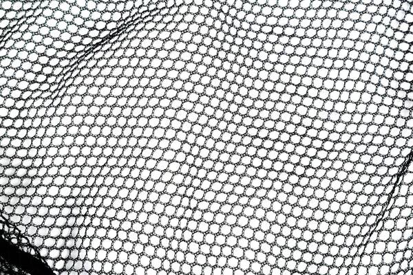 Podbierak Nytro Fast