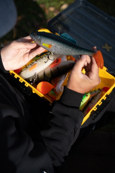 Illex Sucker Punch 250 MR Swimbait 25cm (205g)