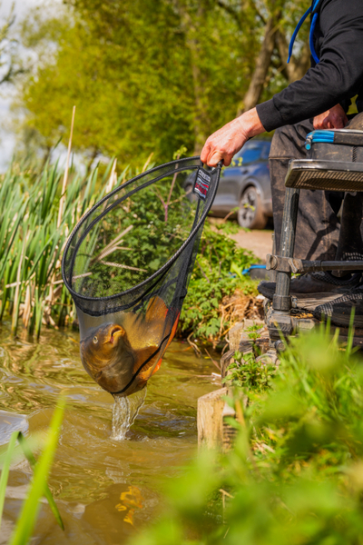 Preston Carbon Hair Mesh Landingsnet