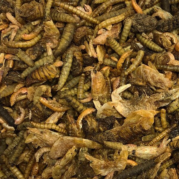 Vivani Fishfood Insect & Shrimp mix 500g