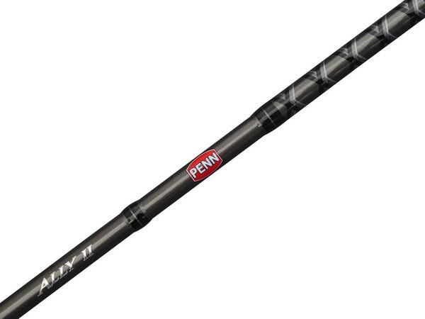 Penn Ally II Offshore Casting Spin Zeevishengel