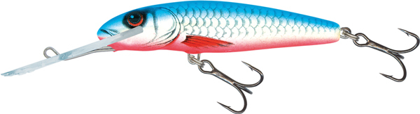 Salmo Minnow Floating