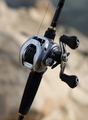 Daiwa 25 AIRD Baitcaster Reel LH
