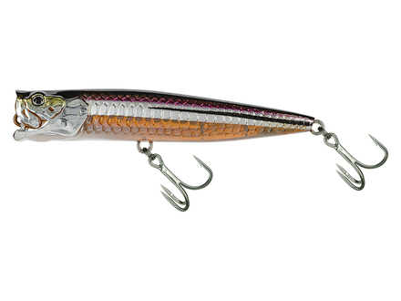 Molix Popper 85T Topwater Lure 8.5cm (11.5g)