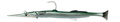 Savage Gear 3D Needlefish Pulsetail 14cm 12g (2+1pcs) - Green